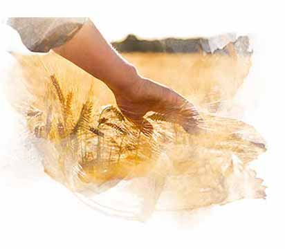 Bioagricert Belgelendirme