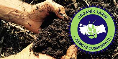 Organik Üretim